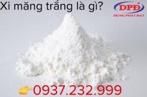 Xi Măng Trắng Là Gì? Bao nhiêu tiền một bao xi măng trắng?