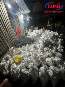 BÁO GIÁ CÁT ĐÓNG BAO MỚI NHẤT HÔM NAY 2026